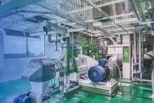 animal feed processing plant in Bangladesh