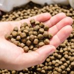 aqua feed pellets