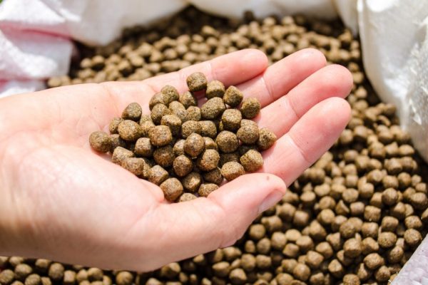 aqua feed pellets