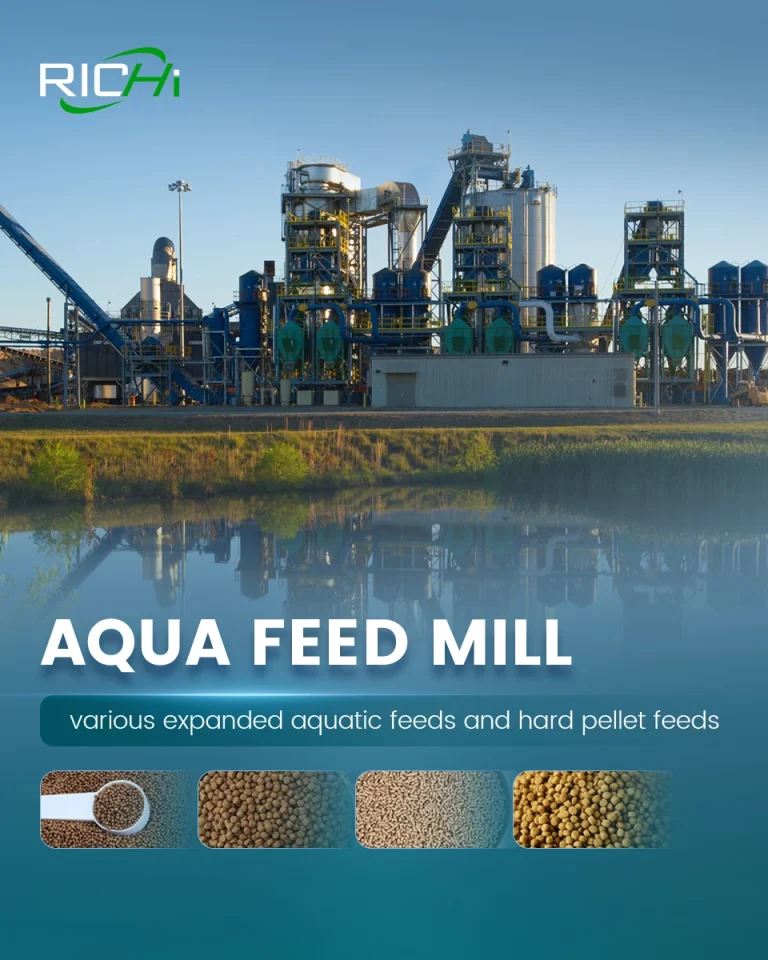 How to Produce Sinking Fish Feed for Efficient Aquaculture