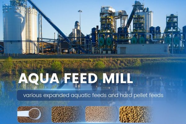 aqua feed palnt